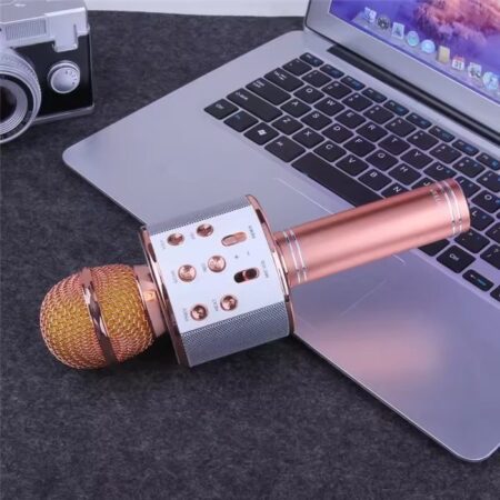 Microphone Loud Speaker For Speech Good For Kids & Students ws-858