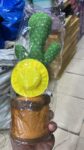 with-box-dancingtalking-cactus-toddler-repeats-what-you-say-voice-recorder-musical-toys-with-120-songs – 1